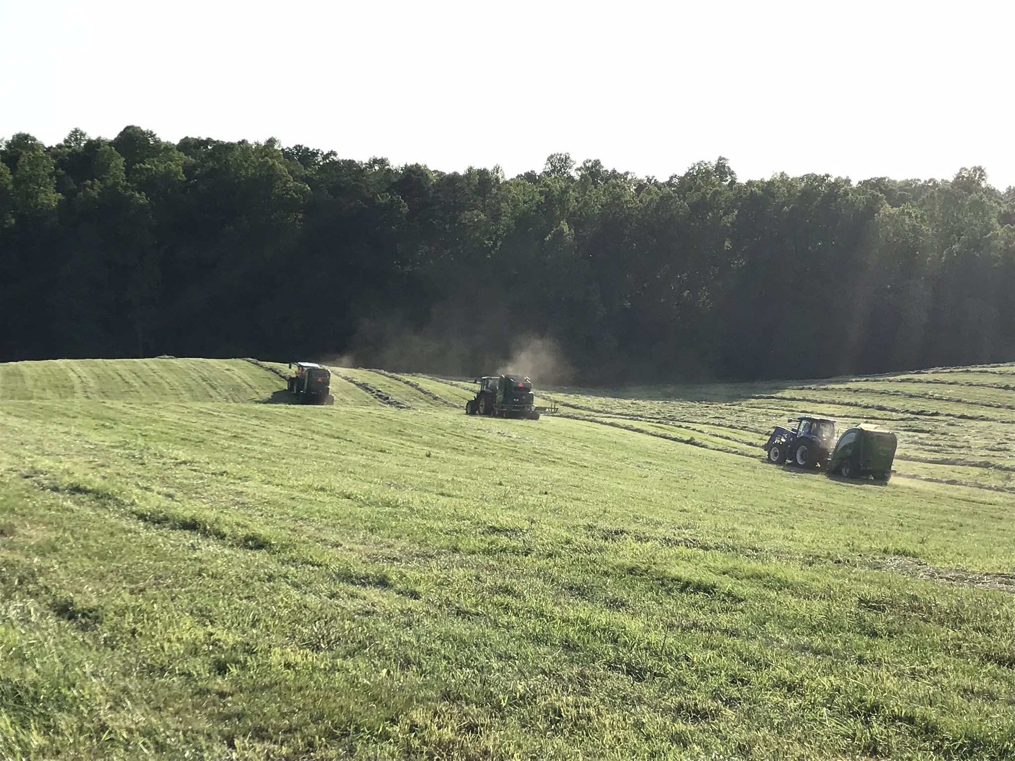 2018Baleage ANRCutFlowerWorkshop
